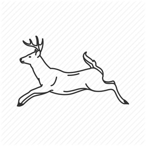 Running Deer Drawing At Explore Collection Of