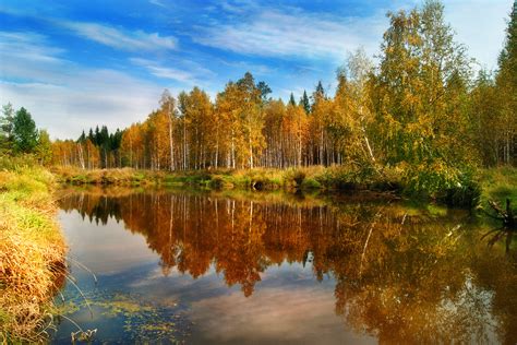 Yellow Autumn Forest Lake Wallpapers And Images