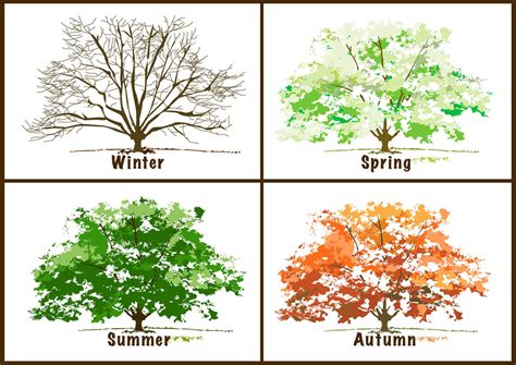4th Grade English The Four Seasons