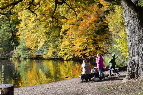 I söderåsen nationalpark kan du utforska dalgången vid skäralid, beundra utsikten från kopparhatten och hjortsprånget, besöka naturum och mycket mer! Söderåsens Nationalpark i Skåne - discovering the planet