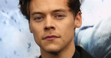 Harry Styles Rumoured New Girlfriend Camille Rowe Stripped Naked For