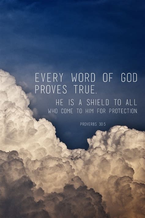 Delight In Gods Word Every Word Of God Proves True He Is A Shield To