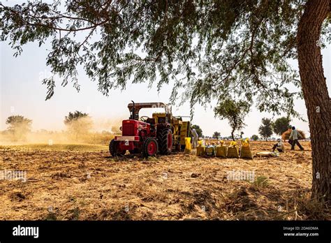 Harvesting Crops In India Hi Res Stock Photography And Images Alamy