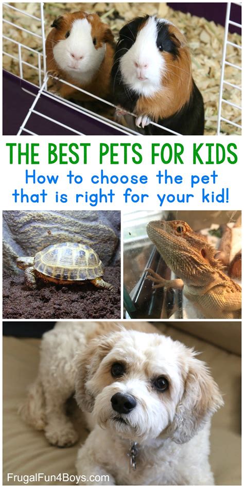 The Best Pets For Kids Choose The Best Pet For Your Child Frugal