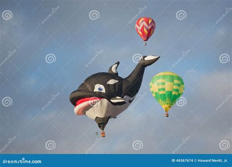Whale Balloon Rising Editorial Stock Image Image Of Lifting 46567674
