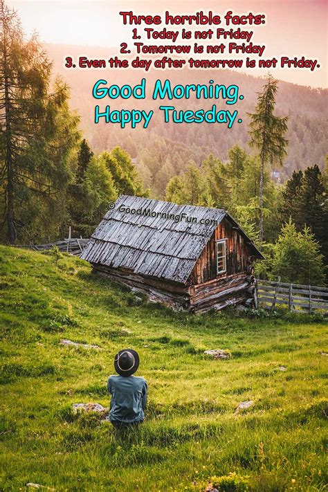 And, a day to celebrate love with your family and friends. Top 50 Good Morning Happy Tuesday Quotes With Images ...