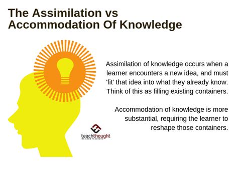 Examples Of Assimilation And Accommodation In Psychology