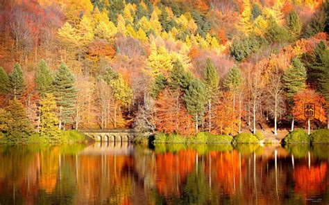 45 Autumn Hd Widescreen Wallpaper Wallpapersafari