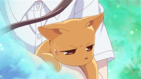 Anime Kucing : Wallpaper Ilustrasi Nekomimi Gadis Anime Kucing Gadis