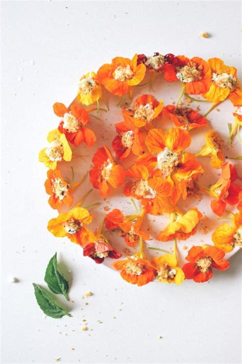 The flowers are less hot than the leaves. RICOTTA & BASIL STUFFED NASTURTIUMS | Nasturtium, Edible ...