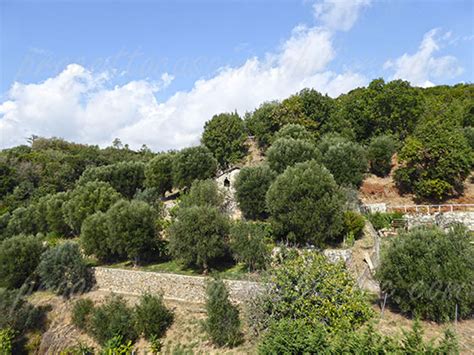 Da spiagge e servizi appartamento di 133 mq commerciali secondo ed ultimo piano con terrazza al piano e varie poggiolate di cui una molto ampia ad ovest , 2 camere matrimoniali , doppio salone, cucina abitabile, 2 ripostigli, 2 ampi servizi. 🏠 APPARTAMENTO A COGOLETO con posto auto in via Gioiello