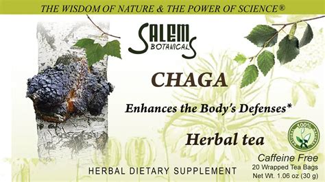 Chaga Mushroom Tea Bags Christopher S Organic Botanicals