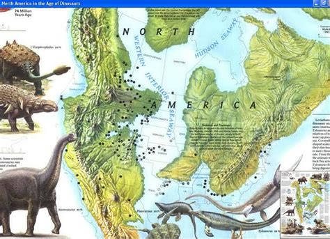 Cascoly Dinosaurs Of North America And The World Prehistoric World