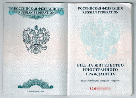 Образец заполнения заявления для получения вида на жительство в России в 2019 году