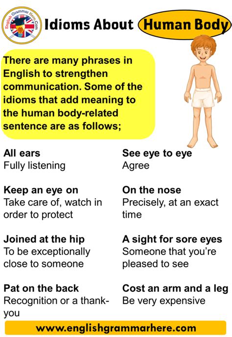 English Idioms About Human Body List Of Human Body Idioms There Are