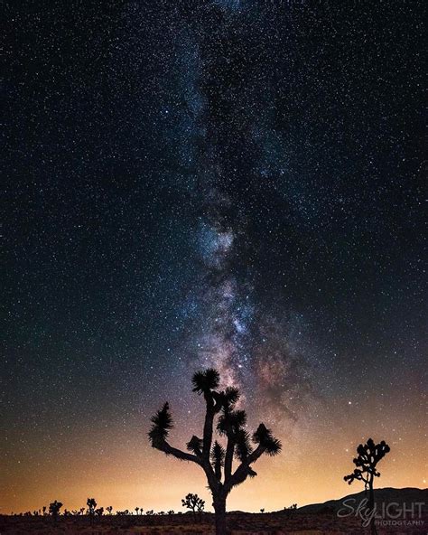Milky Way In Joshua Tree From Mark Robben Skylightphotography On