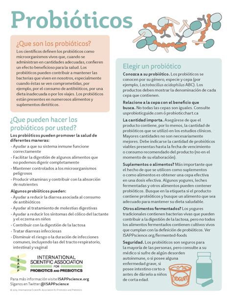 Conozca Los Probióticos Y Sus Beneficios Una Infografía De La Isapp
