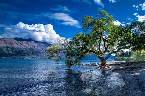 Lake Wakatipu Queenstown New Zealand Landscape New Zeland Landscape