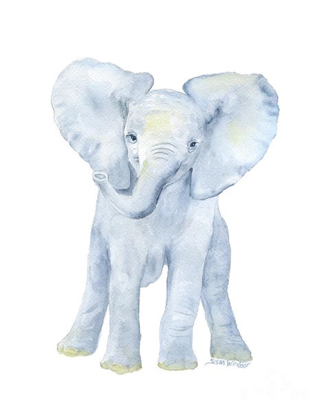 Baby Elephant Watercolor Painting By Susan Windsor