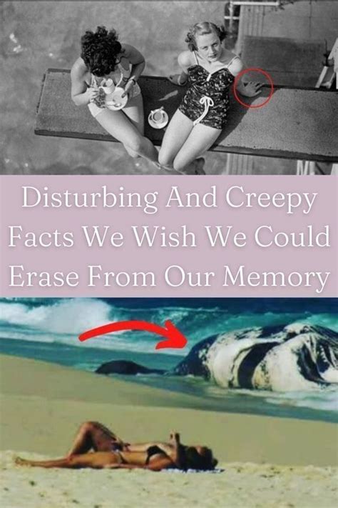 Disturbing And Creepy Facts We Wish We Could Erase From Our Memory In 2023 Creepy Facts