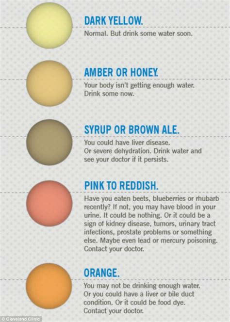 Beets, berries and fava beans are among the foods most. 7 Urine Colors That Reveal Important Things About Your ...