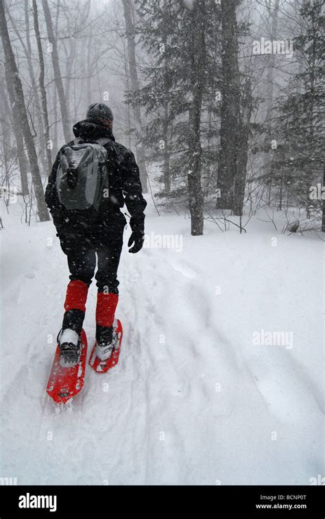 Man Walking In Snow Storm With Snowshoes Stock Photo Alamy