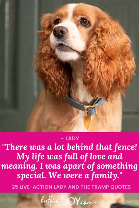 25 Best Live Action Lady And The Tramp Quotes Disney