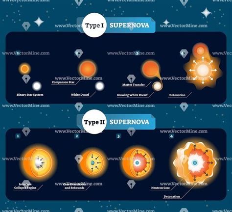 Supernova Stages Vector Illustration Scientific Diagram Vector Illustration Supernova