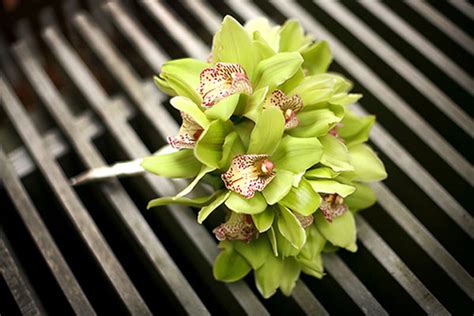 This will definitely cost more compared to having a smaller bouquet. How Much Does A Bridal Bouquet Cost? - First Come Flowers