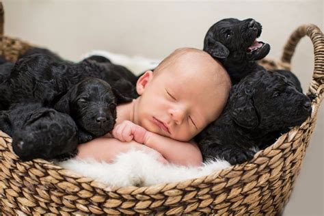 Are you trying to determine how much a puppy with breeding rights and papers would cost? Newborn Baby and Puppies Photo Shoot | POPSUGAR Family