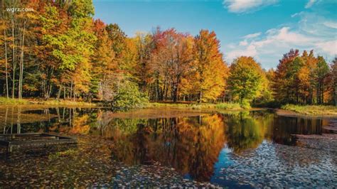 First Sign Of Fall Colors Appear Across Upstate New York