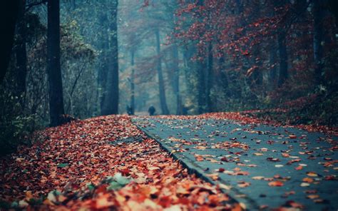 Love Nachural Wallpapers - Wallpaper Cave