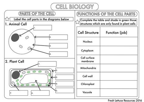 Keeping them on the same poster allows students to quickly understand the differences between the cells, such as the organelles plant cells that animal cells do. Pin on Teaching ideas
