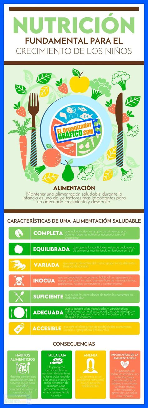 ᐈ Infografías de Alimentación Saludable Ejemplos