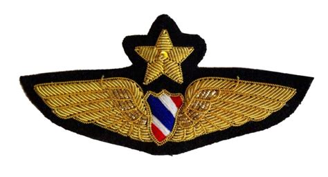 Cotton Unisex Wings Commander Embroidered Badge Golden And Black Size