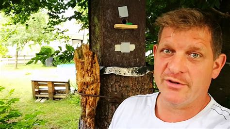 Wespen weniger leute es mag, und weil so viele möglichkeiten, um sie los: Wespen im Garten und ums Haus herum. Kein Problem! - YouTube