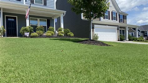 Fertilization And Weed Control Turf Masters Lawn Care