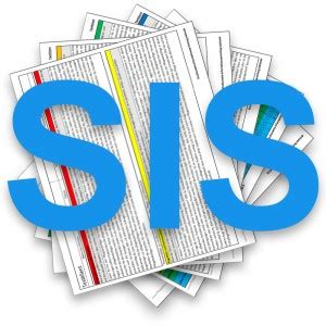 Dokumentation in fachlicher berichtsform schriftlich über das aktuelle befinden. Download Strukturierte Informationssammlung SIS für die ...