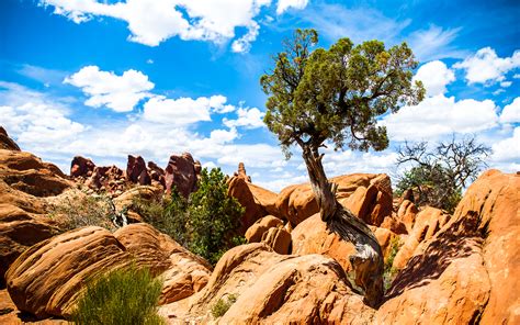 Arches National Park 4k Ultra Hd Wallpaper