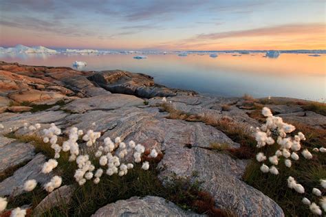 Hiking Routes In North Greenland With Views Of Icebergs Visit