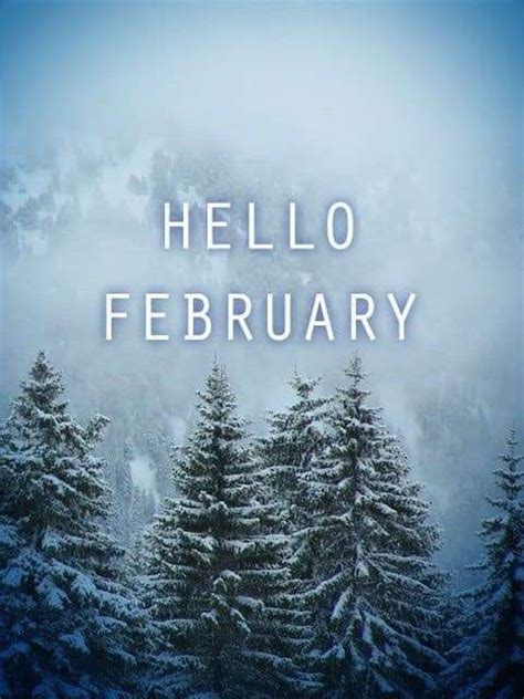 February Hello February Quotes February Wallpaper Months In A Year