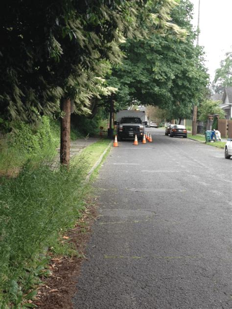 Sdot Urban Forestry Crews Keeping Seattles Green Spaces Landscaped