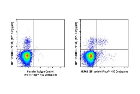 Klrg1 2f1 Hamster Mab Violetfluor™ 450 Conjugate Cell Signaling