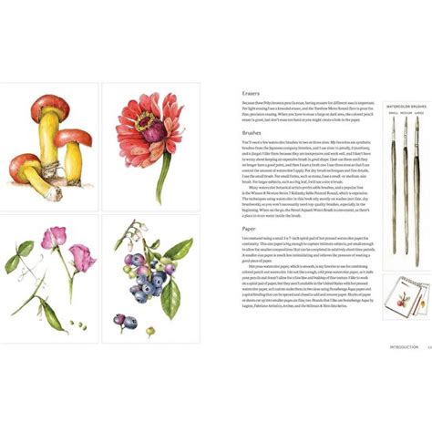 The Joy Of Botanical Drawing A Step By Step Guide To Kitabı