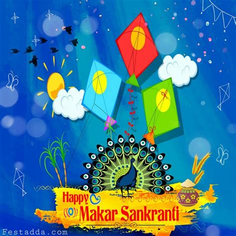 Happy Makara Sankranti Images Photos Wallpapers Pics For Facebook Dp