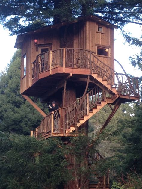 Maybe you would like to learn more about one of these? Redwood Treehouse | Buy Redwood