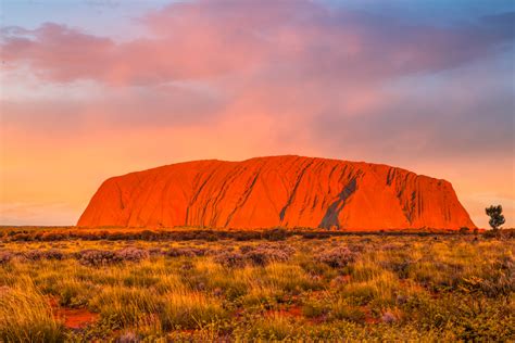 Uluru is australia's most famous rock. The Wire
