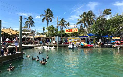 Florida Keys Vacation 1 Make Florida Keys Your Next Getaway—choose