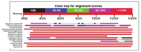 Graphical Summary Of Blast Mips Sequence Alignment For Selected Species