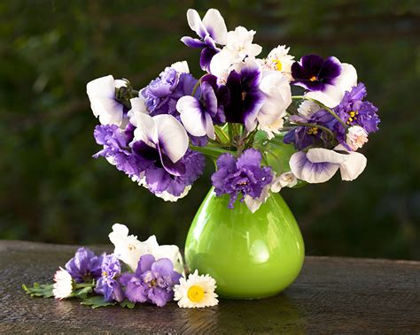 Images Bouquets Heartsease Flowers Vase